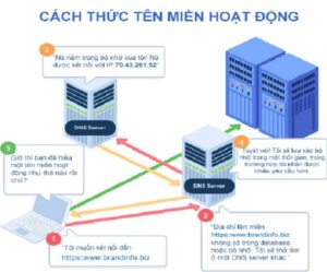 Domain là gì | Ý nghĩa, phân loại & cấu trúc tên miền từ A-Z