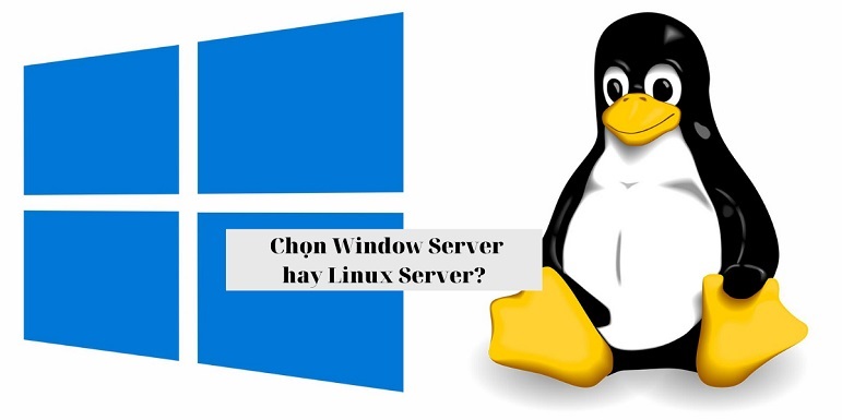 Sự khác biệt giữa cloud server windows với linux