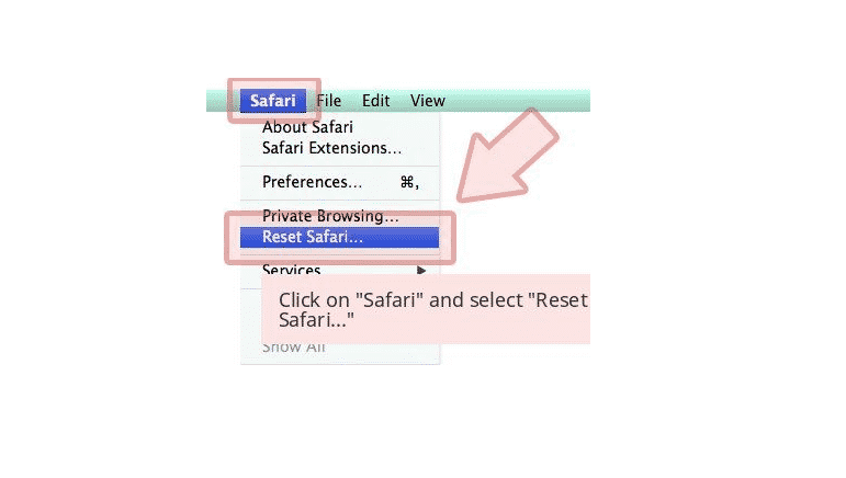 Bấm chọn Safari và chọn Reset Safari