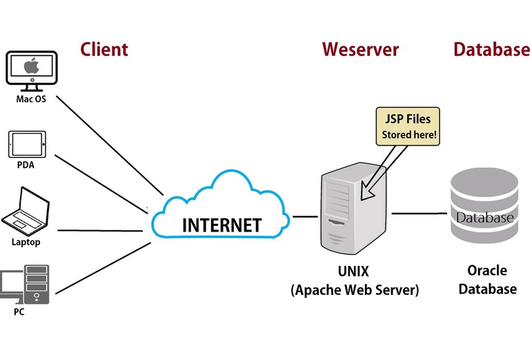 Web server là gì? Tìm hiểu cơ chế hoạt động của web server