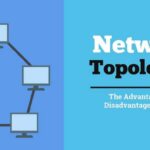 Topology là gì? Tổng hợp 6 cấu trúc Topology thường gặp nhất