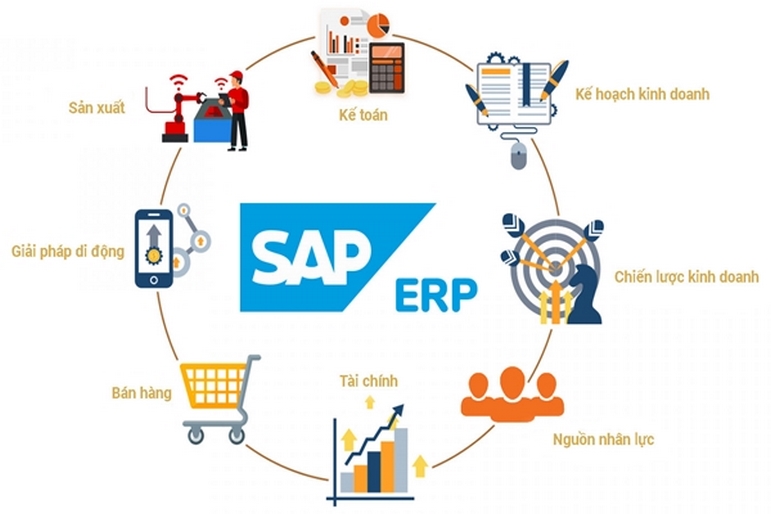 Lịch sử hình thành và phát triển trên thị trường của SAP là gì?