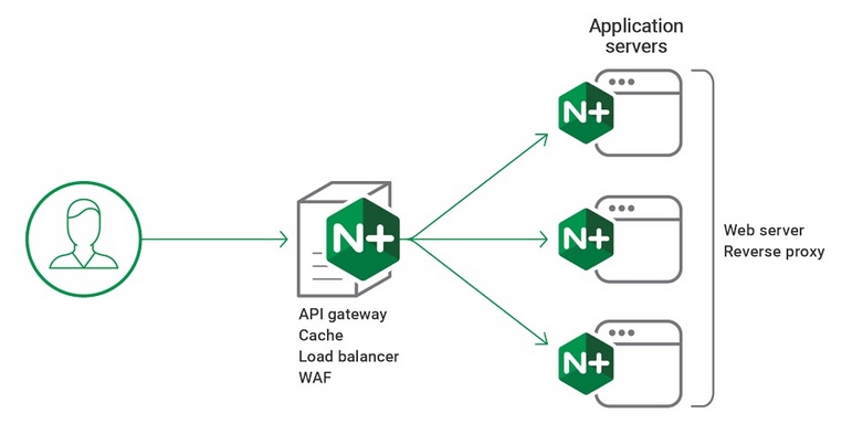 Máy chủ Web Server Nginx