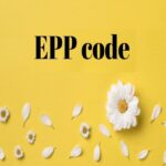 EPP là gì? Điều cần biết khi chuyển đổi chủ sở hữu tên miền