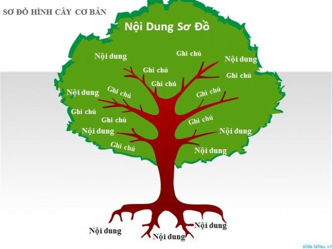 Mẫu sơ đồ tư duy hình cây độc đáo