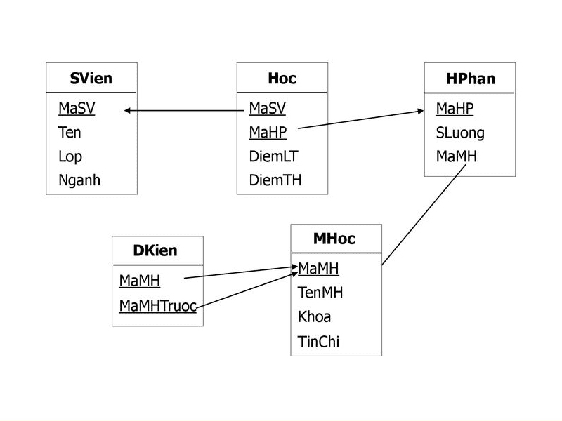 cơ sở dữ liệu là gì